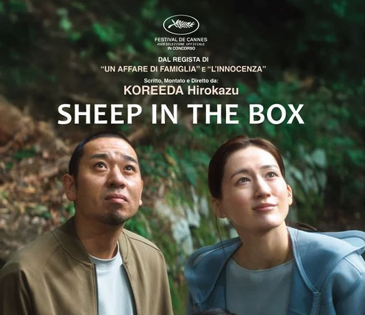 Sheep in the Box
